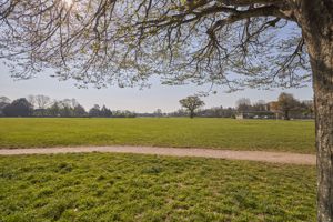 Nearby Park- click for photo gallery